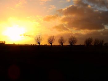 Silhouette trees on landscape against orange sky