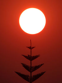 Low angle view of silhouette lamp against orange sky