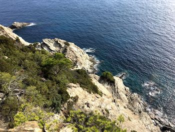 High angle view of rock by sea