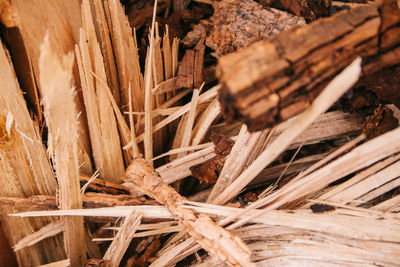 Full frame shot of dry plants wood