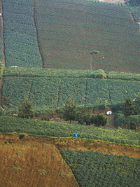 Scenic view of field