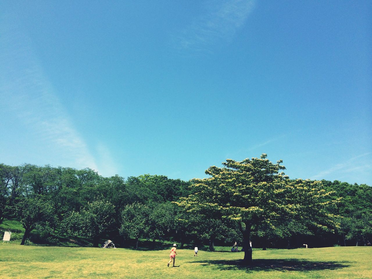 根岸森林公園