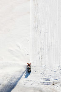 Snow thrower is cleaning the snow.  birds eye view.