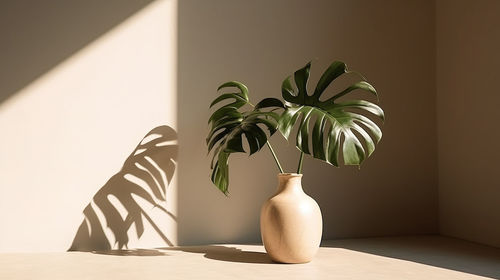 Potted plant against wall