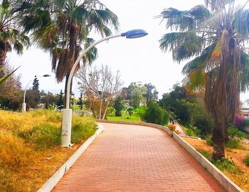 Walkway amidst trees against clear sky