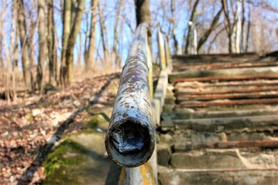 Close-up of rusty pipe on wood in forest