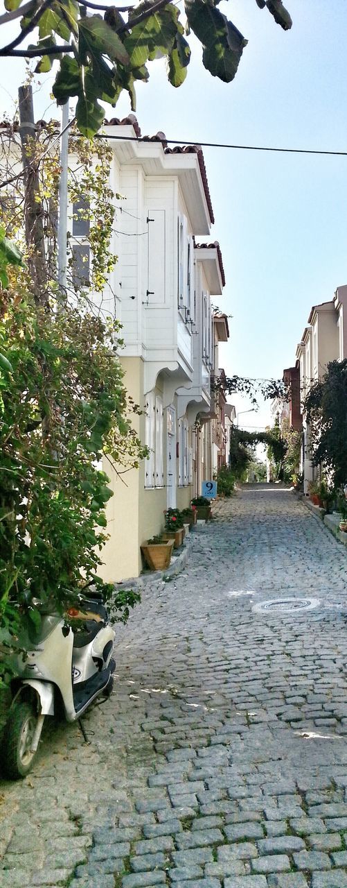 building exterior, architecture, built structure, the way forward, house, cobblestone, residential building, street, tree, residential structure, footpath, plant, building, sunlight, day, potted plant, walkway, city, outdoors, empty