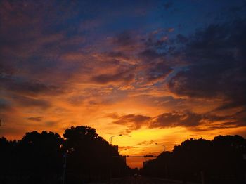 Low angle view of silhouette trees against orange sky