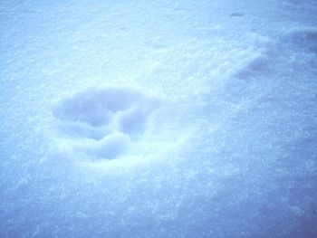 Full frame shot of ice