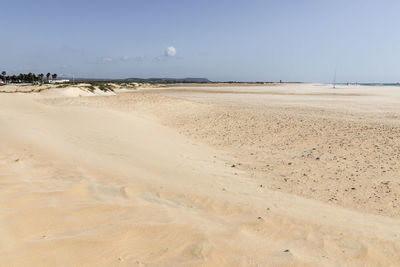 Scenic view of beach against clear sky