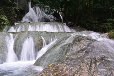 Scenic view of waterfall in forest