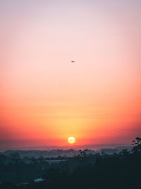 Silhouette bird flying against orange sky