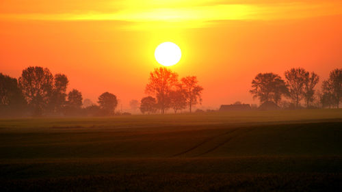 Scenic view of field against orange sky