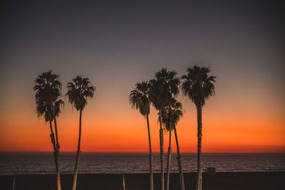 Silhouette palm trees on beach against sky during sunset