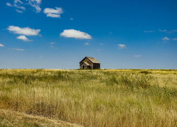 Old abandoned one-room farm house out on the open grasslands in oklahoma