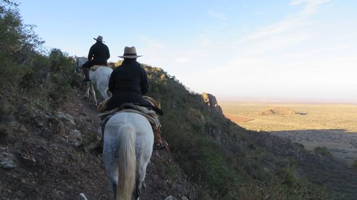 Rear view of horse riding