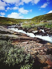 Scenic view of river flowing through forest