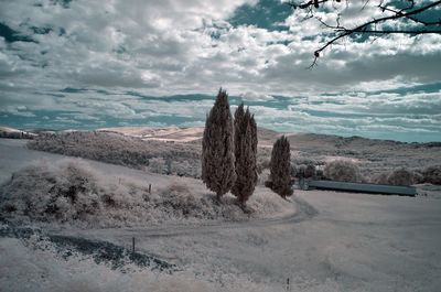 Scenic view of landscape against sky