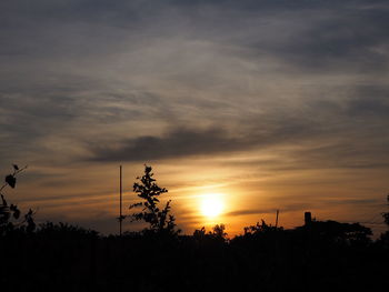 Silhouette trees against sky during sunset