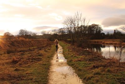 View of trees on landscape against sky