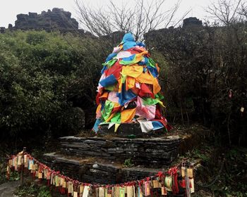 Multi colored tree against sky