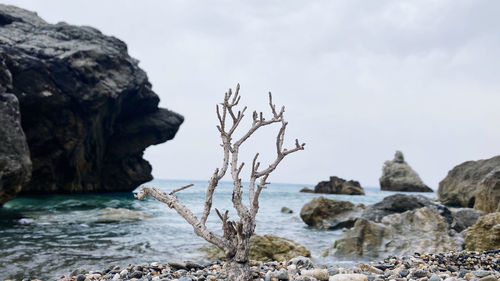 Scenic view of rocks on beach against sky