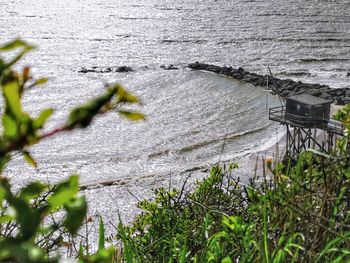 High angle view of plants by sea