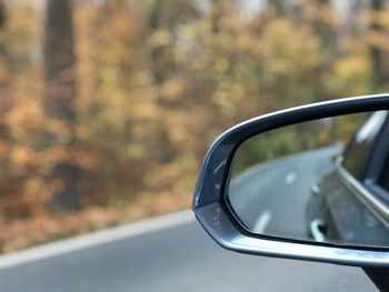 Close-up of side-view mirror of car against autumn trees