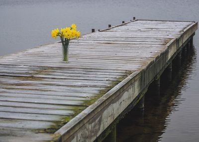 Yellow flowers in vase on pier