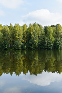 Reflection of trees in lake against sky