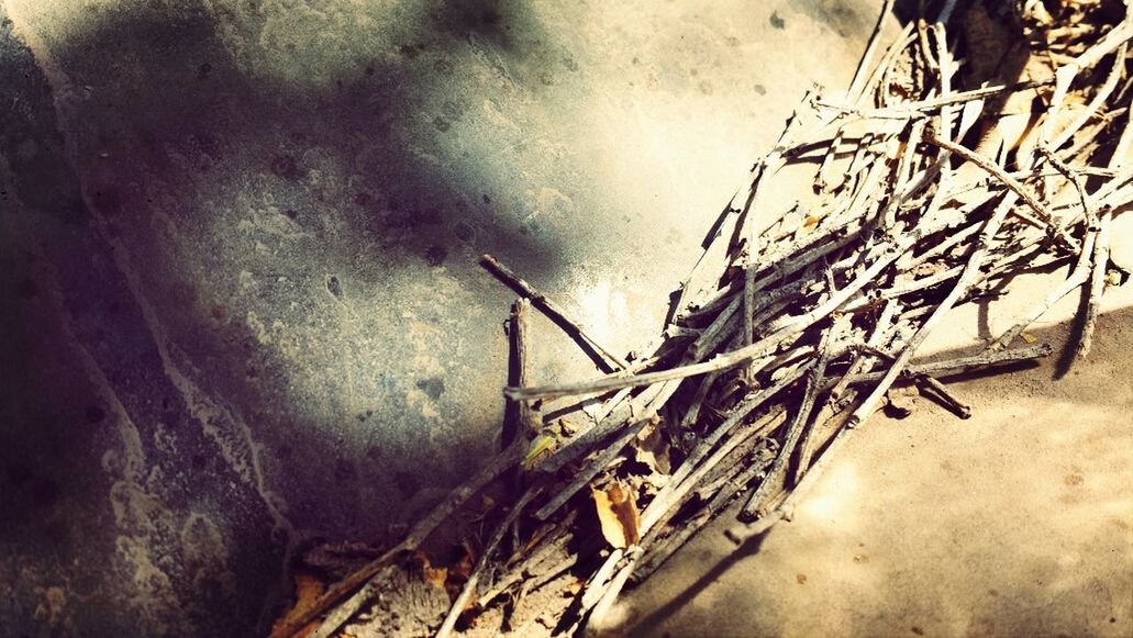 abandoned, damaged, wall - building feature, deterioration, obsolete, old, no people, run-down, day, outdoors, weathered, close-up, sunlight, built structure, messy, plant, shadow, nature, high angle view, metal