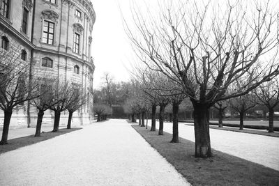 Walkway along trees in park