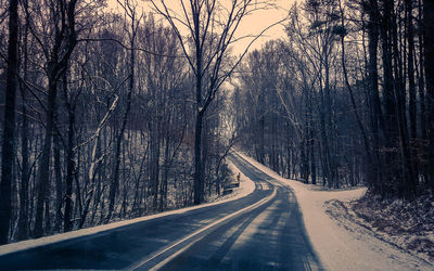 Road amidst bare trees during winter