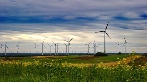 Wind turbines on field against sky