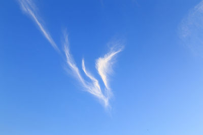 Low angle view of vapor trail in sky