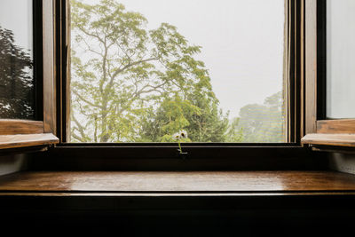 Woman seen through window