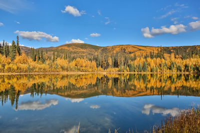 Panoramic view of a clear lake with reflections in fall, chena river state park, alaska