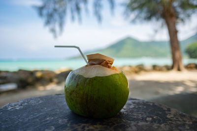 Close-up of fruits growing on beach