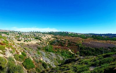 Scenic view of landscape against blue sky