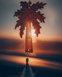 Close-up of illuminated palm tree sign against sky during sunset - lets get lost travelling 