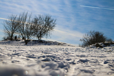 Bare trees on snow covered field against sky