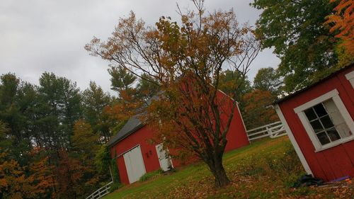 Built structure with trees in background