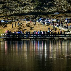 People in swimming pool