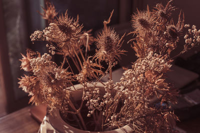 Backlited flowers in vase on the table in sunset time