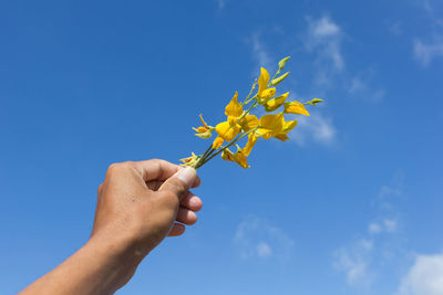 Low angle view of hand holding flower against blue sky