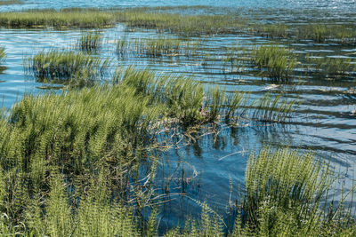 Scenic view of lake