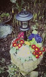 View of multi colored wall