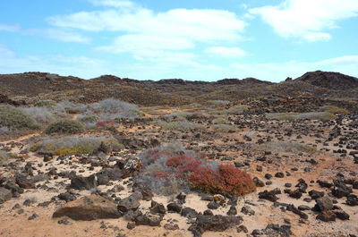 Scenic view of rock formations against sky