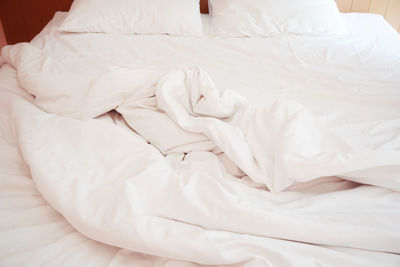 High angle view of white resting on bed