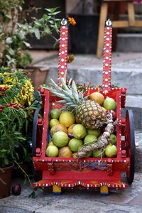 Fruits in push cart at back yard